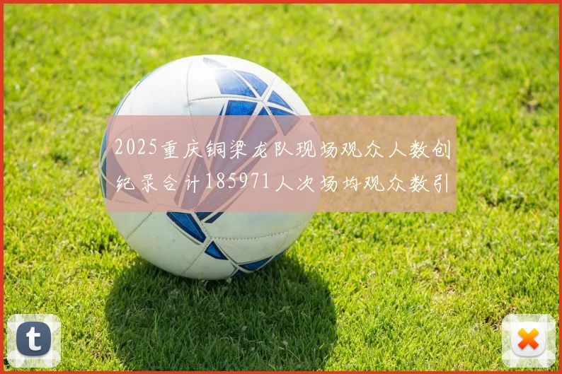 2025重庆铜梁龙队现场观众人数创纪录合计185971人次场均观众数引发热议