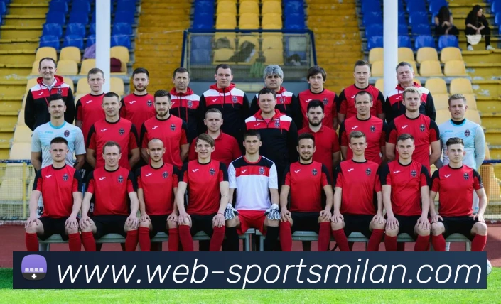 米兰体育平台生态图